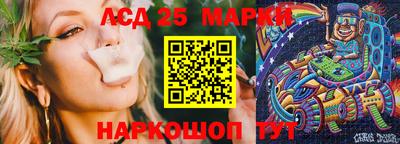гидропоника Донской