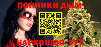 СК Дубна