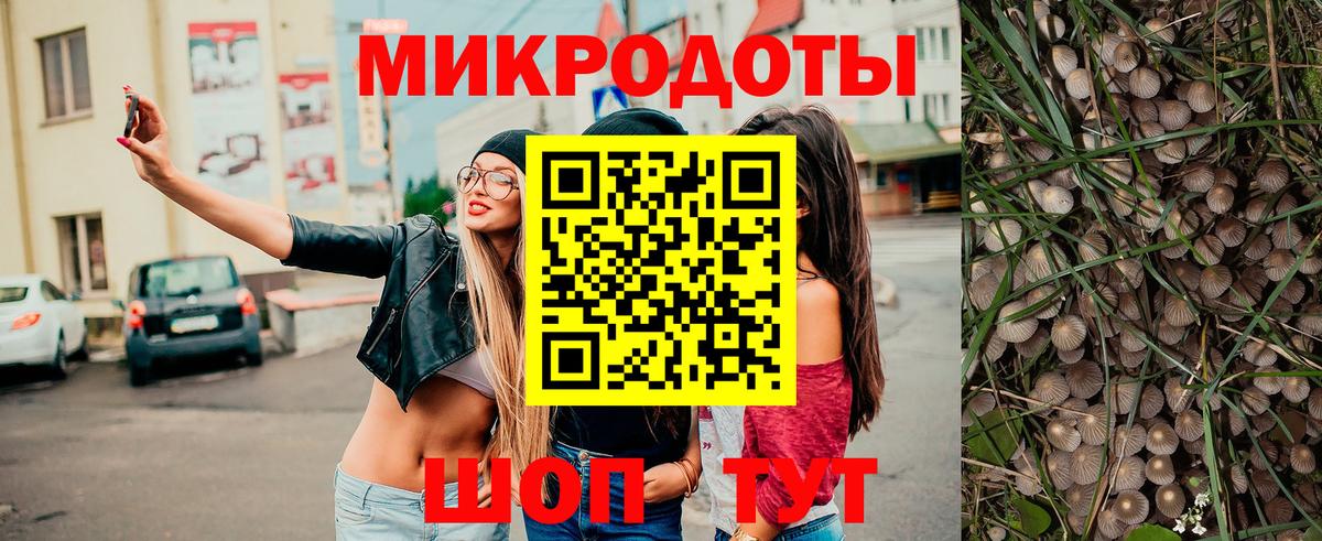 Псилоцибиновые грибы прущие грибы Лосино-Петровский